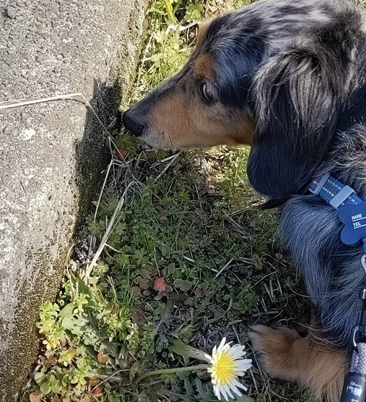 ぽかぽか🌞