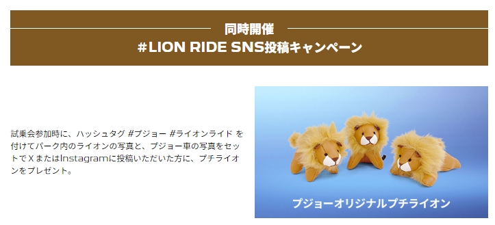 PEUGEOT LION RIDEキャンペーン💪🏻