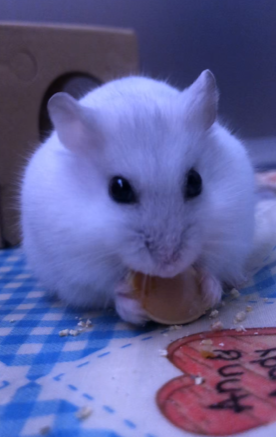 GWいかがお過ごしでしょうか♪