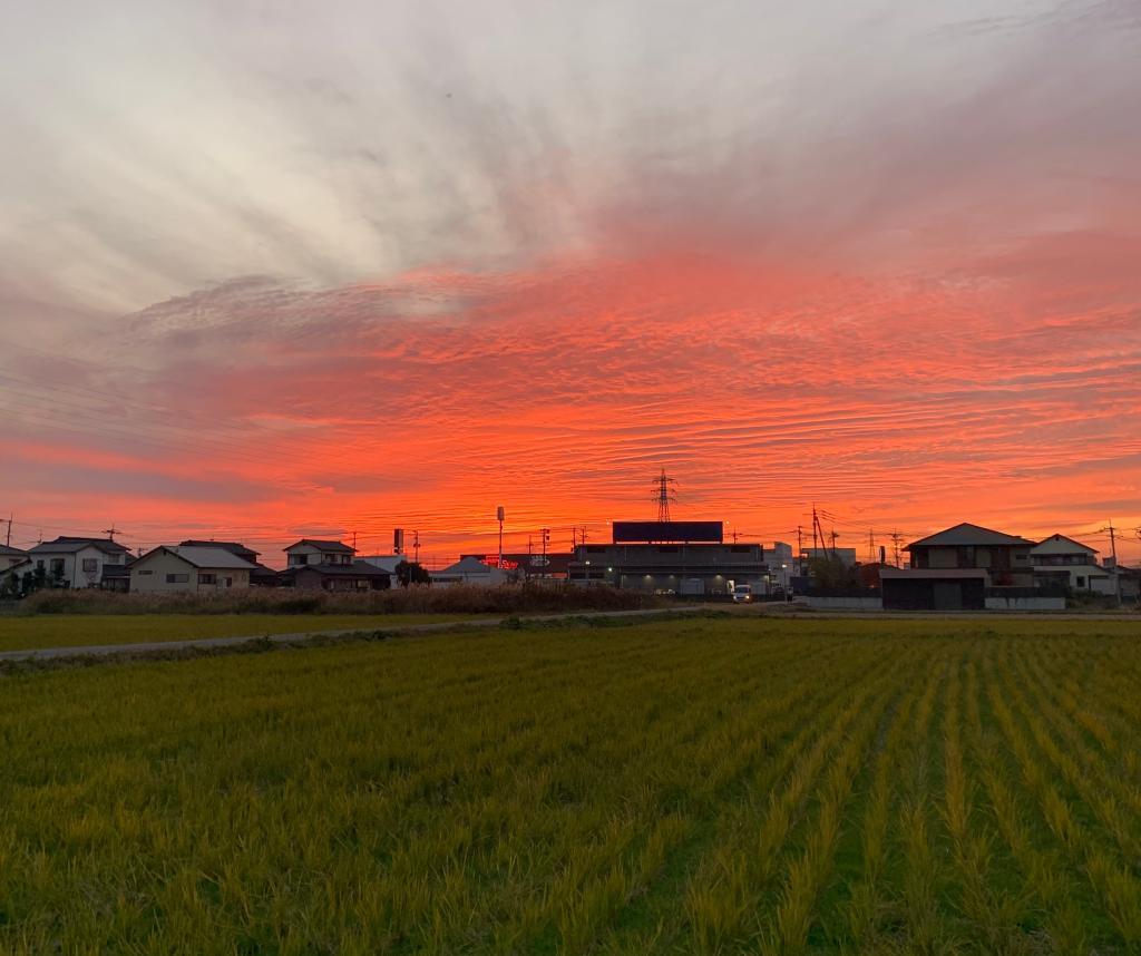 都会と田舎 Part2