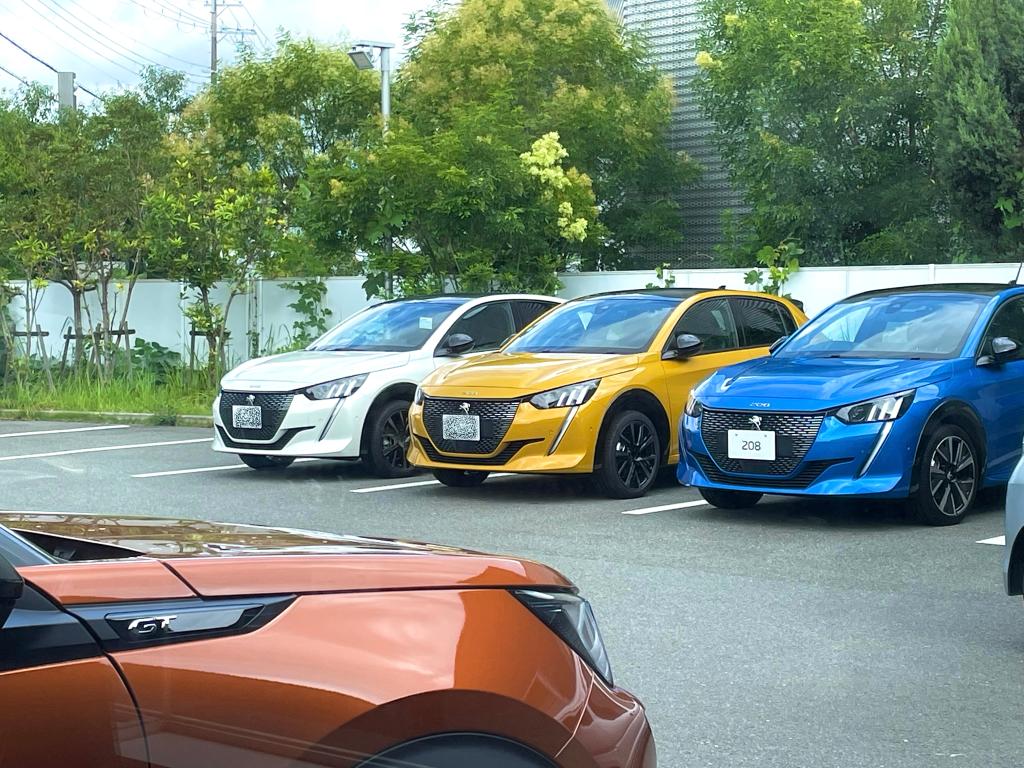 カラフルライオン