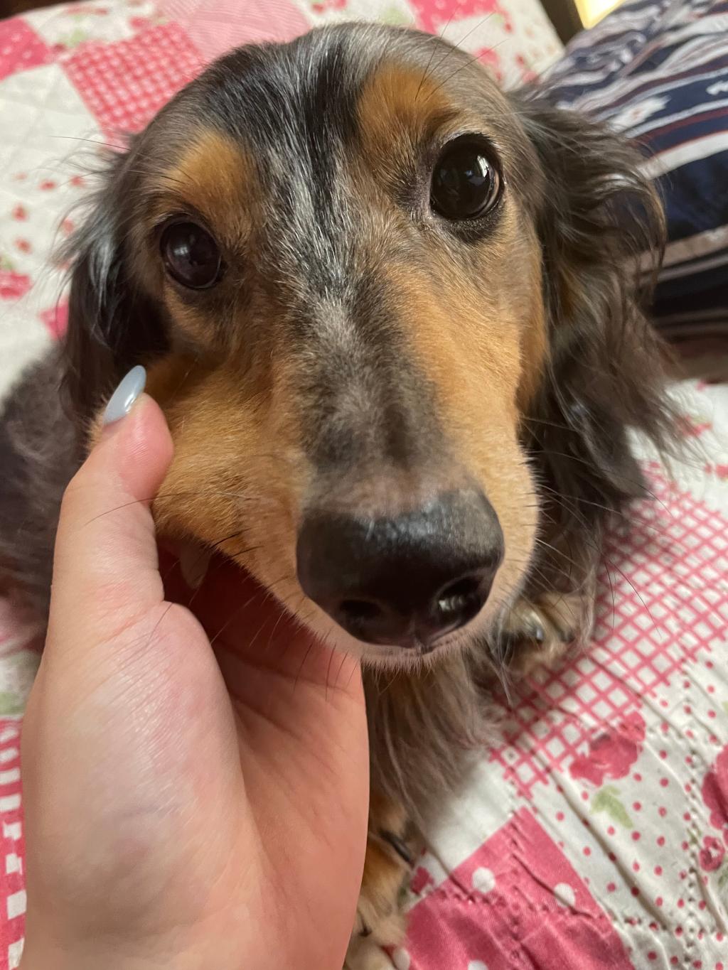 癒し