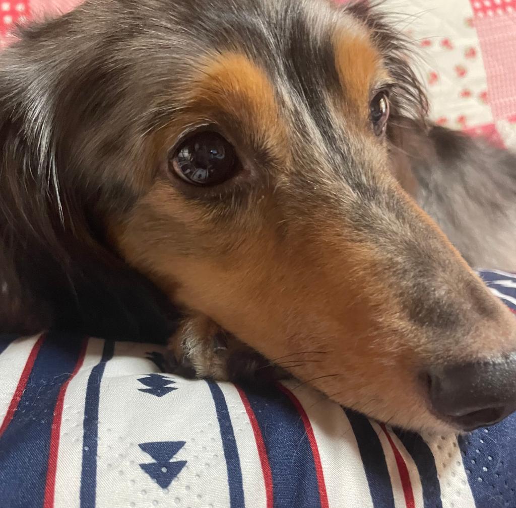 癒し