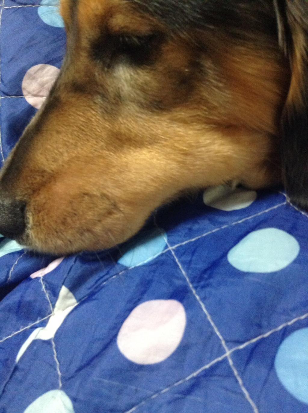 癒し