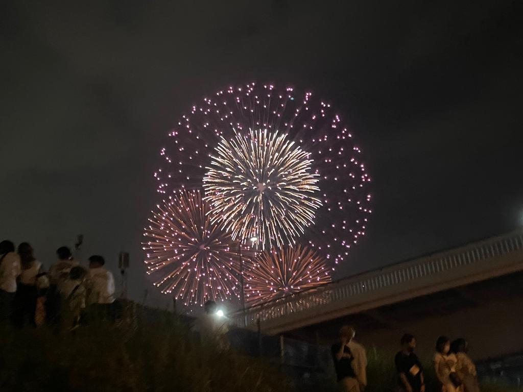 綺麗でした