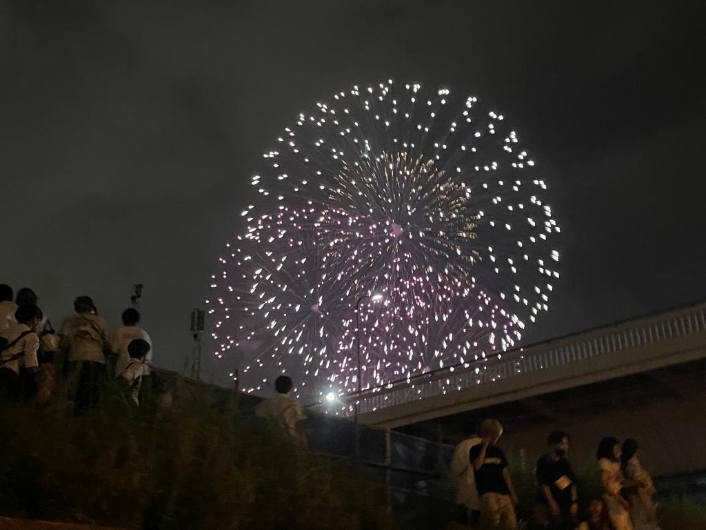 綺麗でした