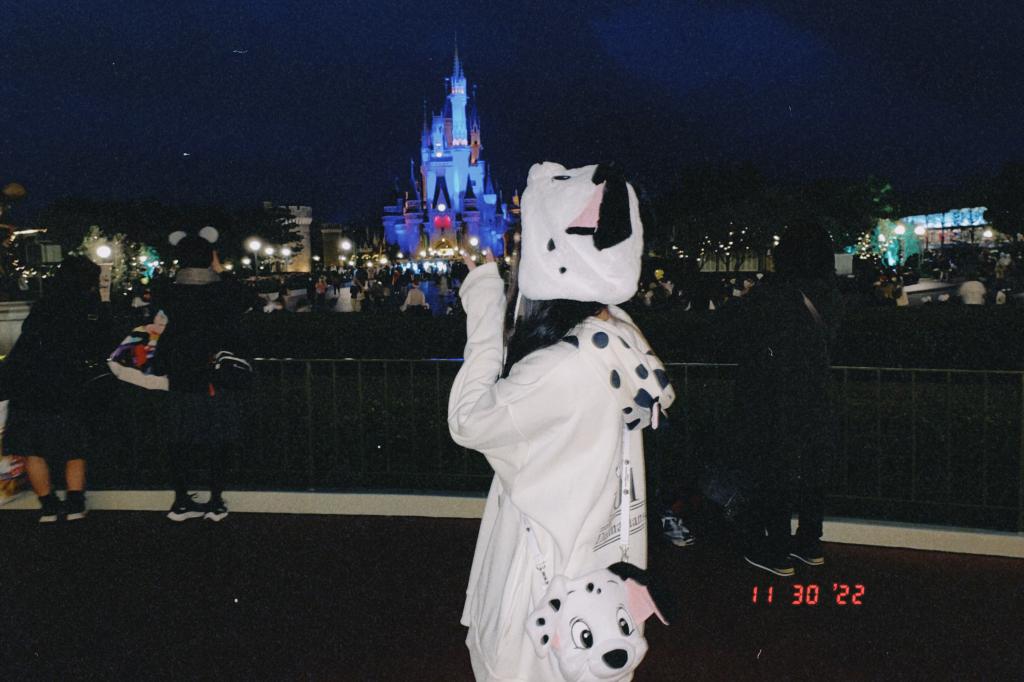 🐭🏰