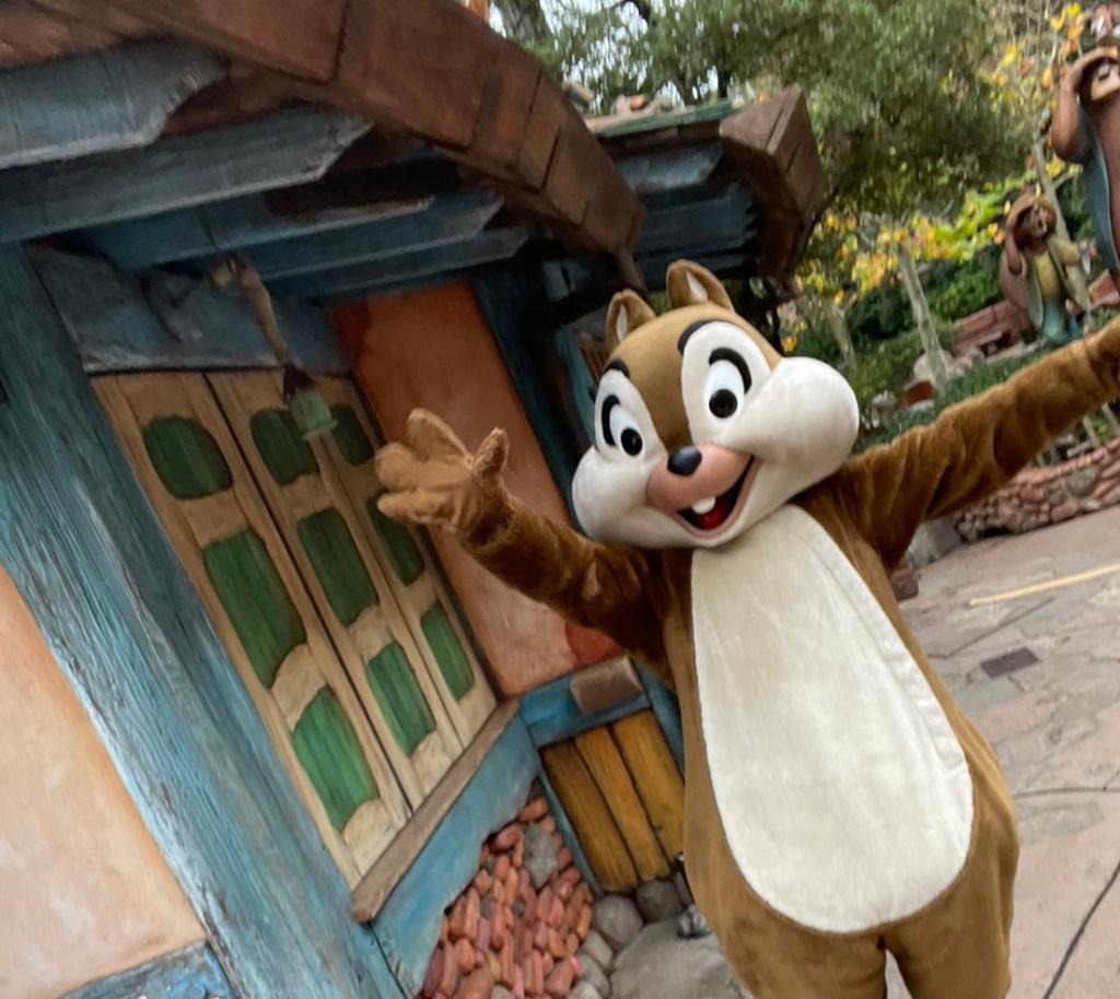 🐭🏰