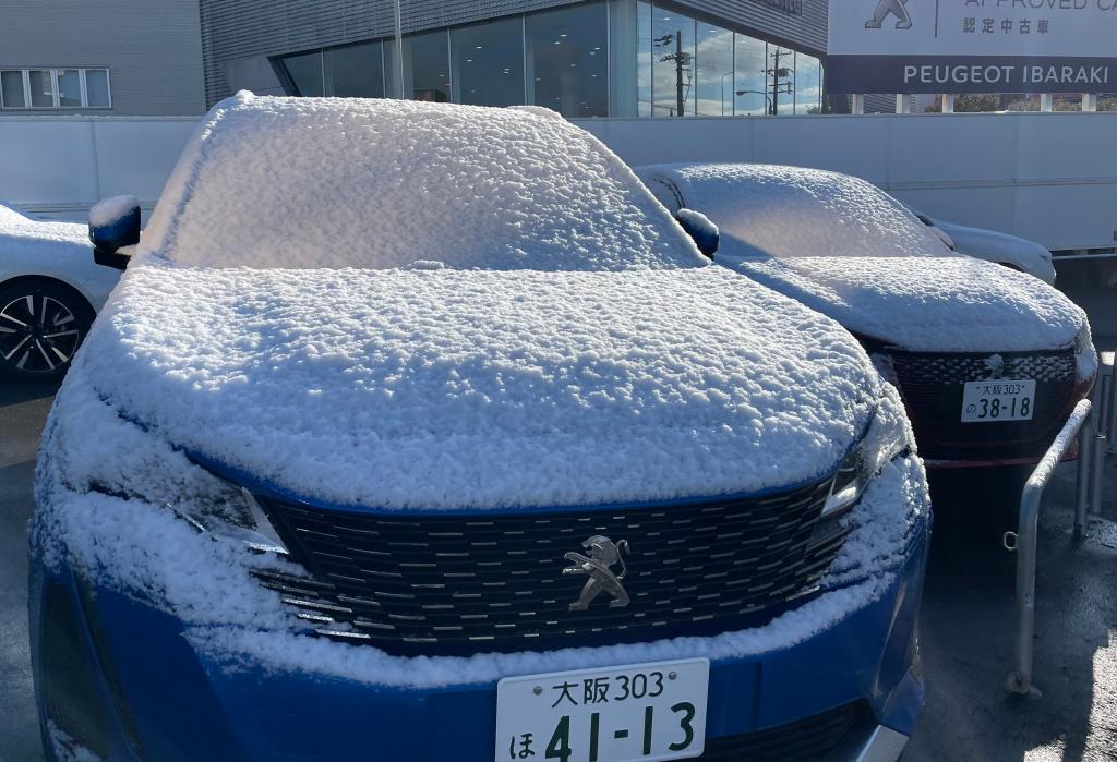 雪×プジョー