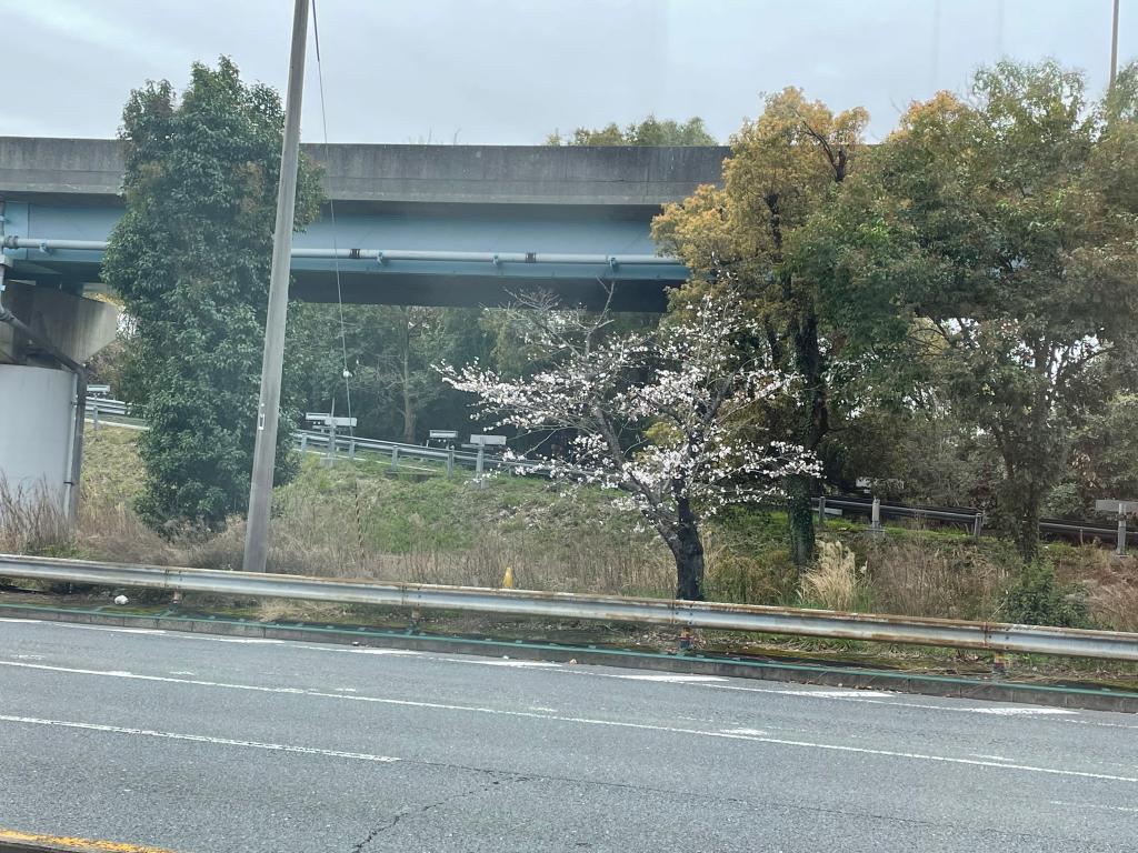 春な感じ💭