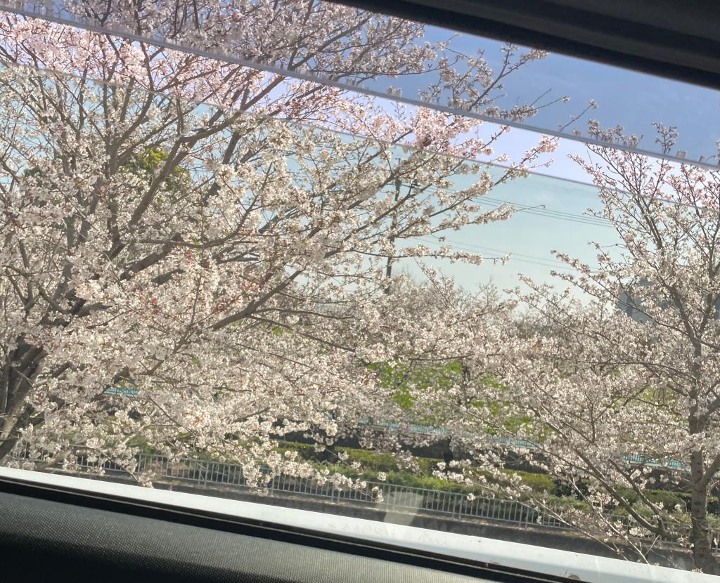 行けてません、、😢