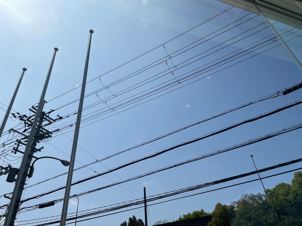 晴れてるのに