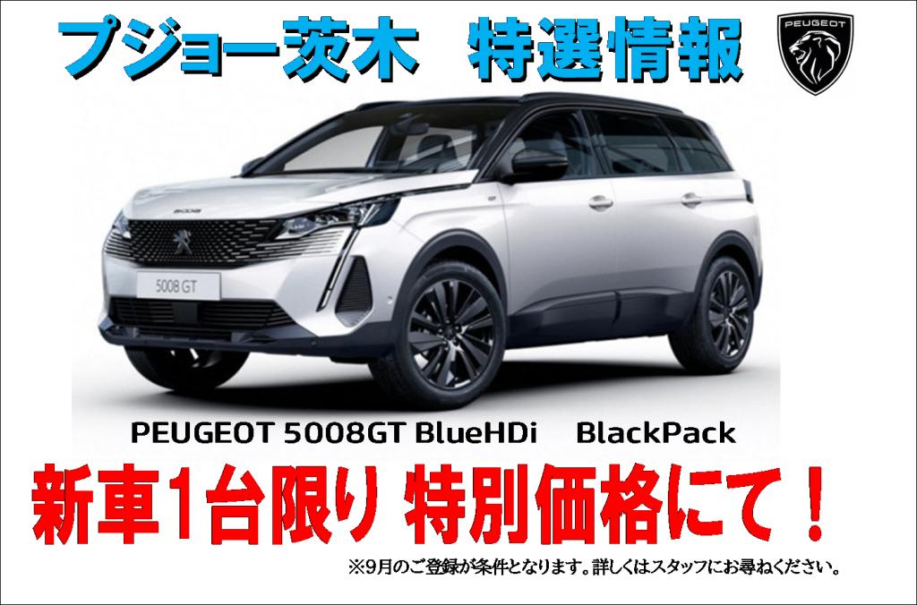 特選車両です✨