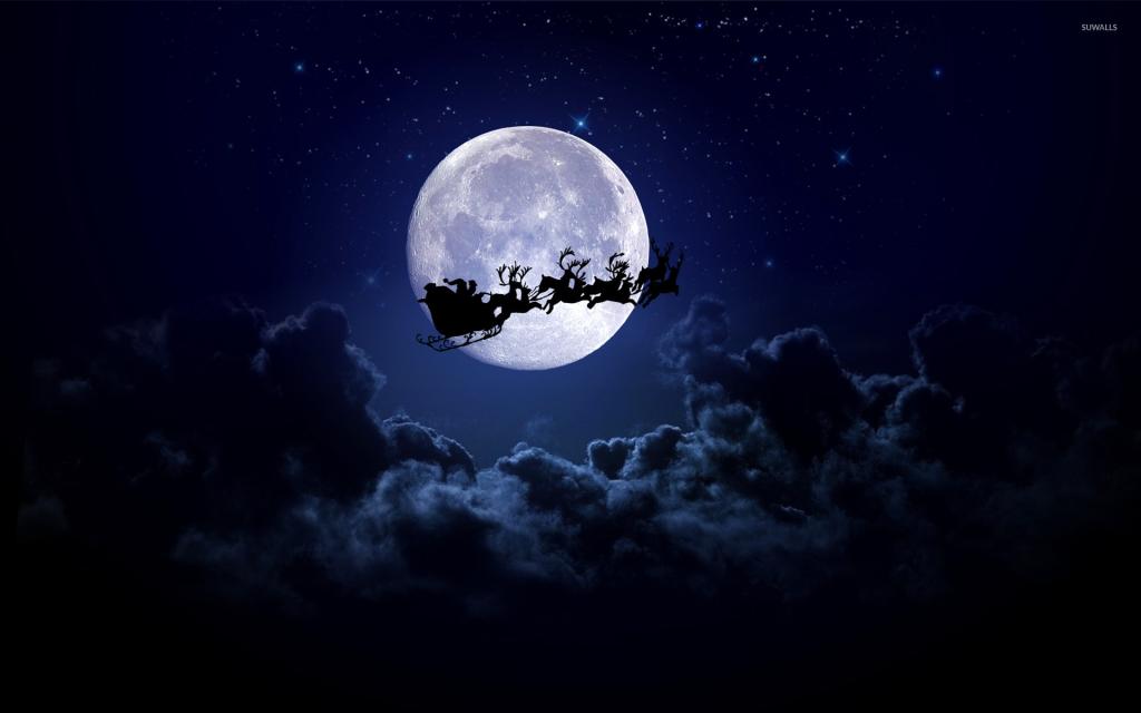 クリスマスイブです♪
