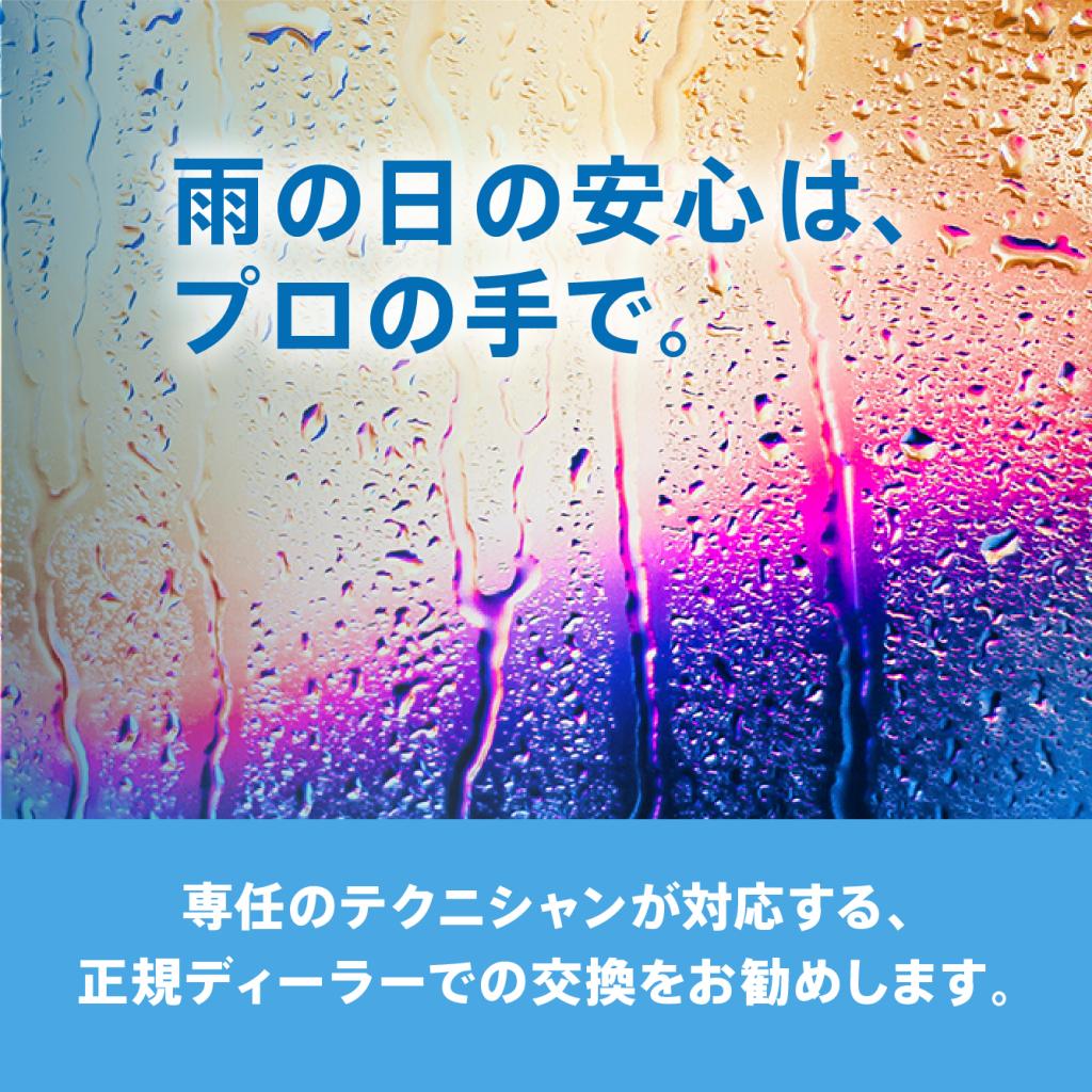 レイニーキャンペーンのご案内✨