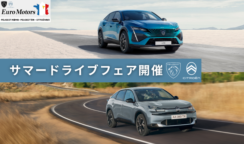 サマードライブフェア開催✨