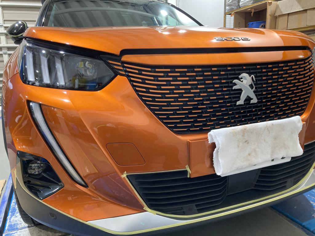 コーティング日記🌟Part65・モールコート