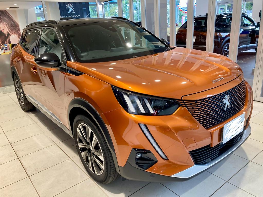 コーティング日記🌟Part65・モールコート