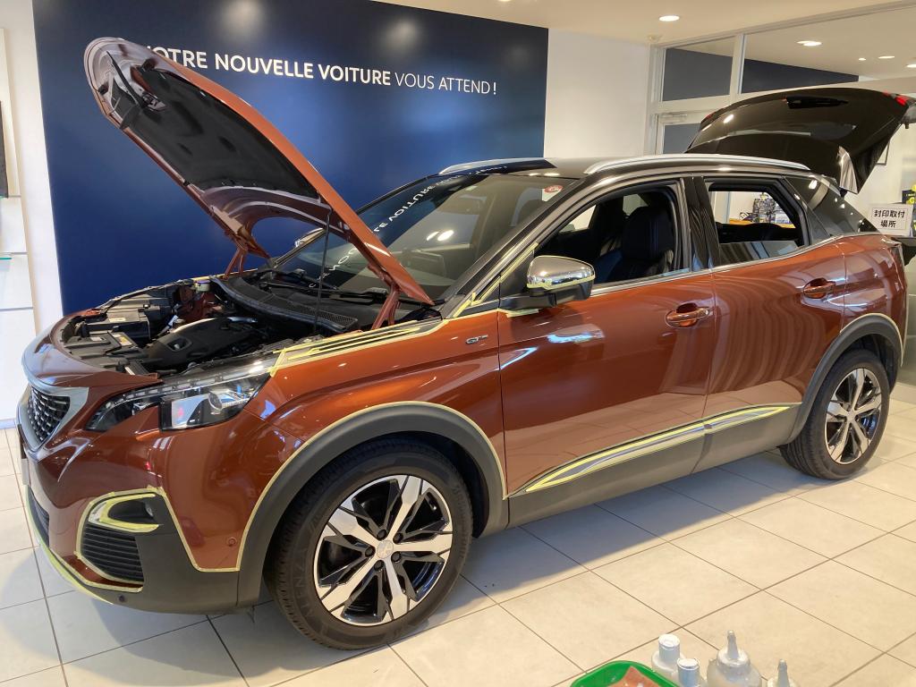 コーティング日記🌟Part67・モールコート2