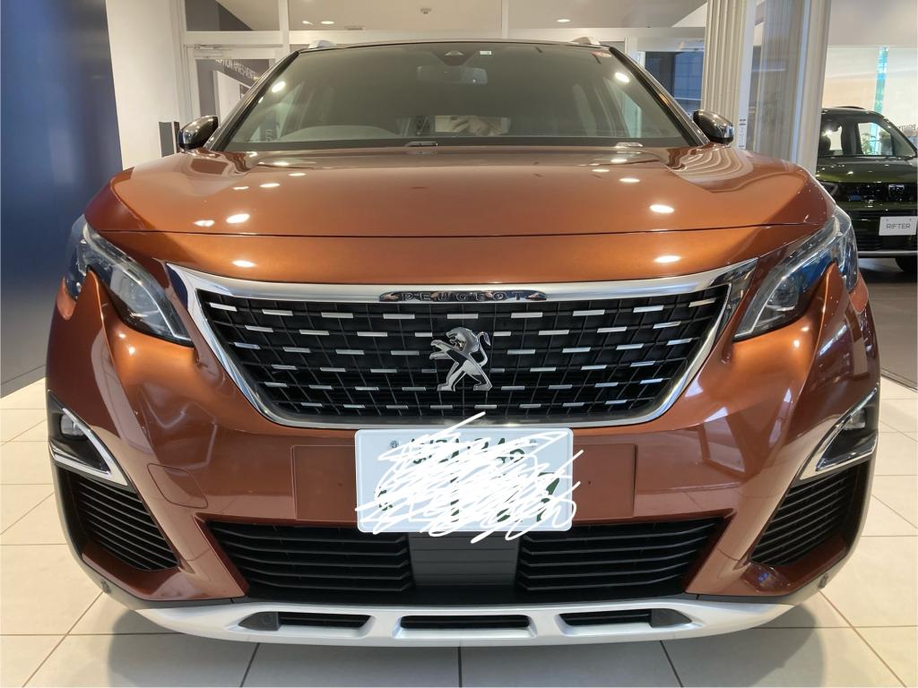 コーティング日記🌟Part67・モールコート2