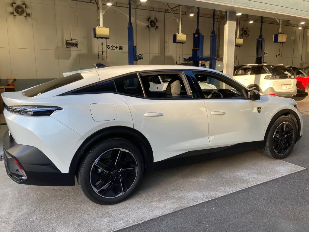 コーティング日記🌟Part69・モールコート3