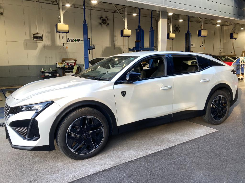 コーティング日記🌟Part69・モールコート3