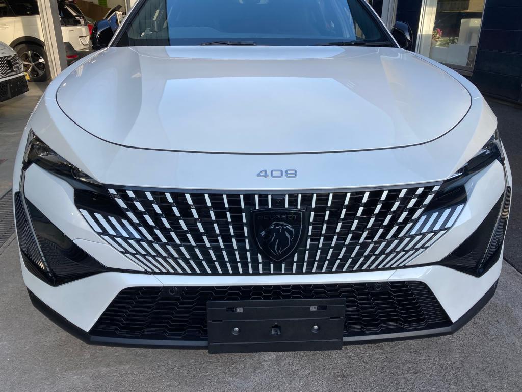 コーティング日記🌟Part69・モールコート3