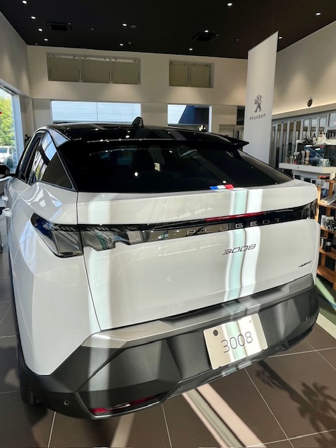 展示車入れ替えました！