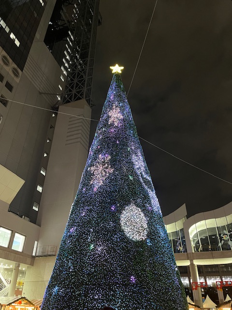 ショールームもクリスマスムードに…🎅🏻🤍