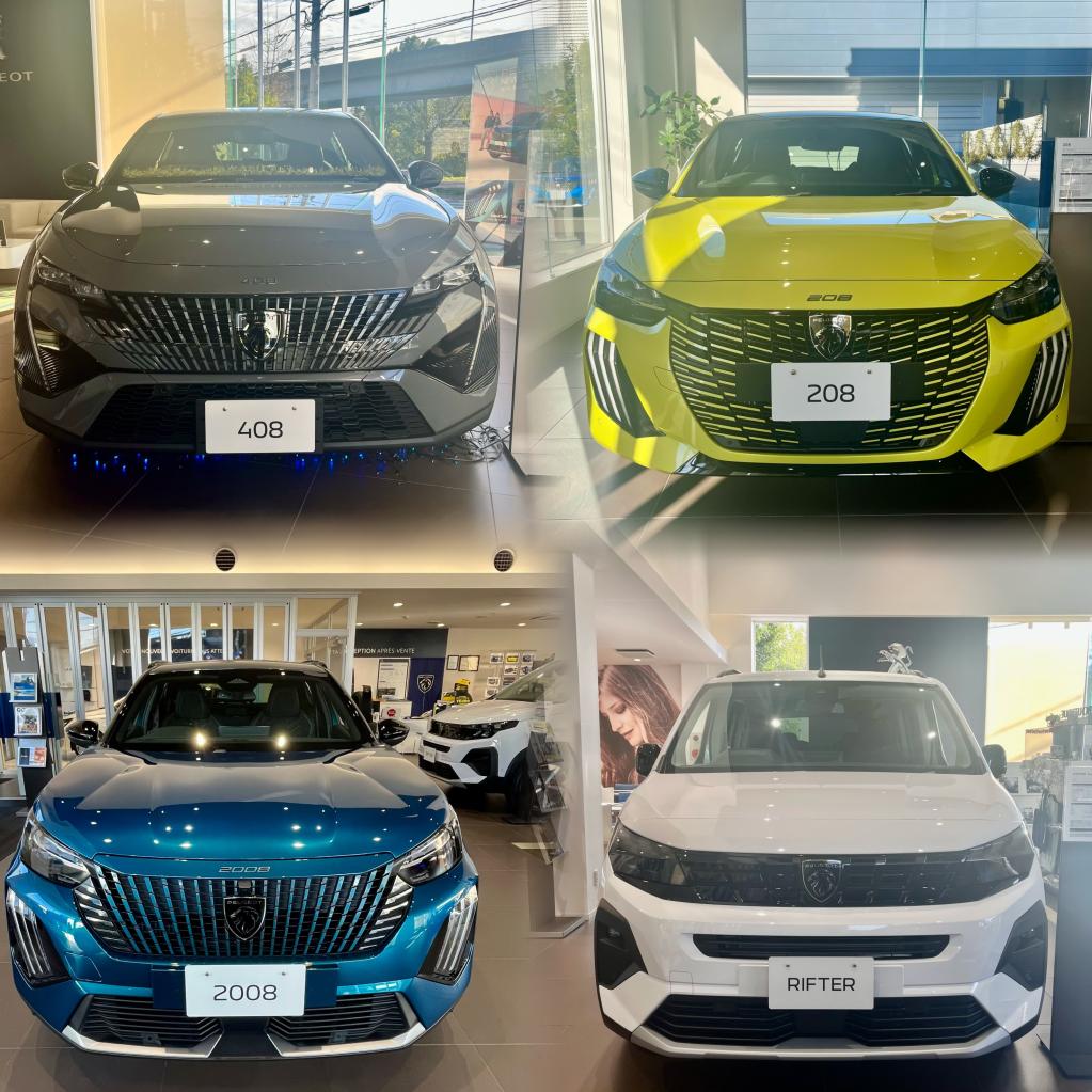 ✨️展示車のご紹介✨️