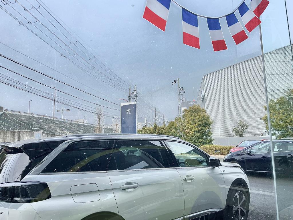 雪！寒い🥶🥶