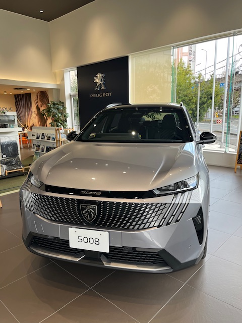 本日からデビューフェア開催です🤍