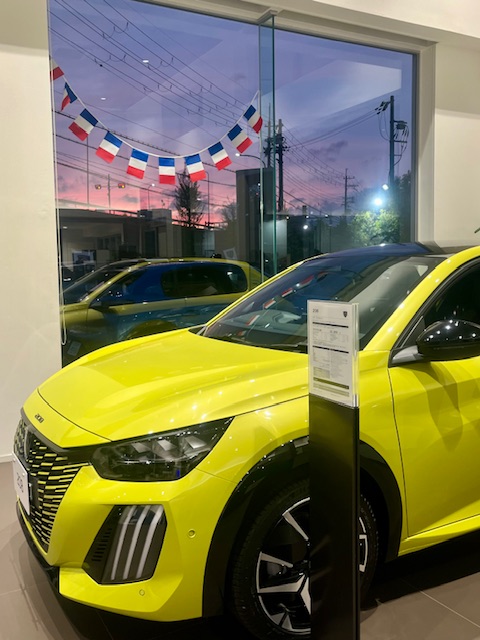 夕焼け × 208 アゲダ・イエロー✨️