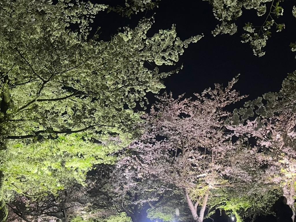 ミャクミャクと桜色の太陽の塔🌸