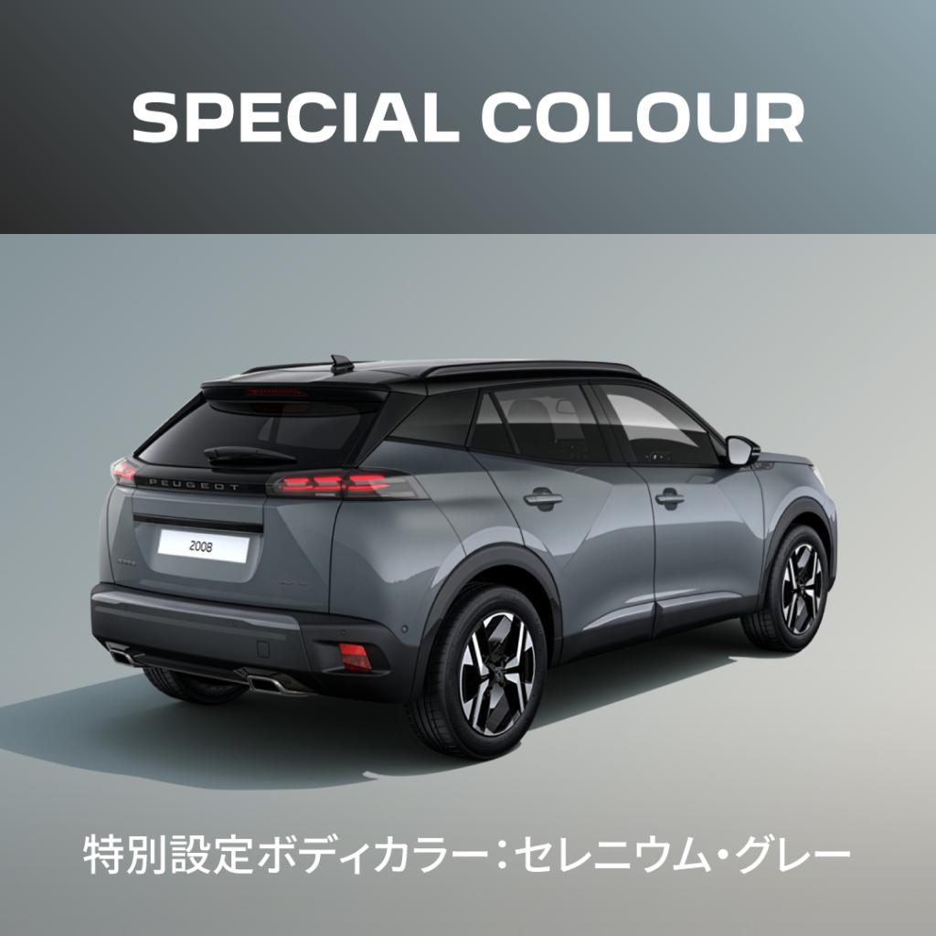 【特別仕様車✨️】2008 Selenium Edition デビュー🚗