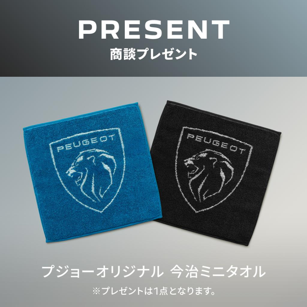 【特別仕様車✨️】2008 Selenium Edition デビュー🚗