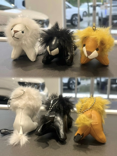 どの子がお好きですか？🦁