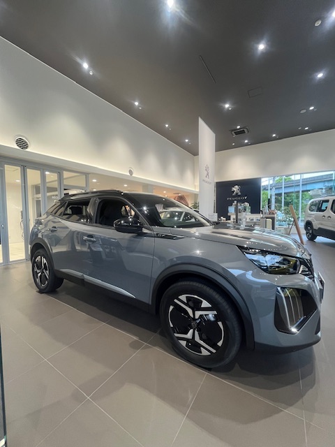 全国限定80台の特別カラー🩶