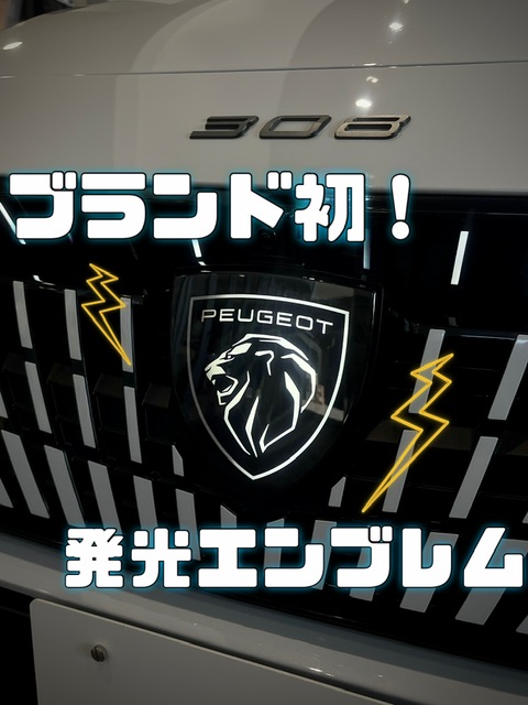 初㊗️ついに！ライオンが光ります🦁🌟🪄