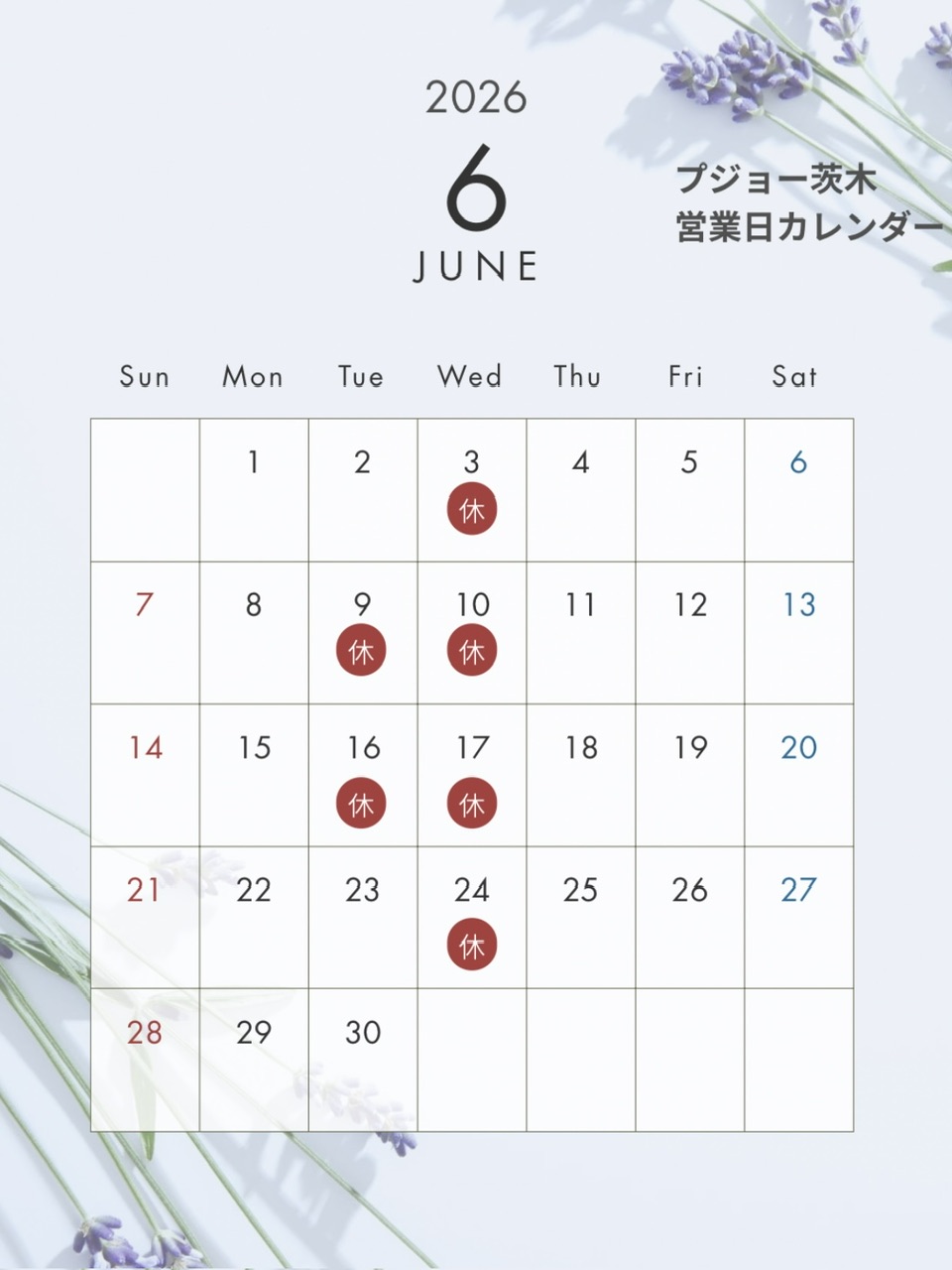 【6月の営業のお知らせ🐸☔】