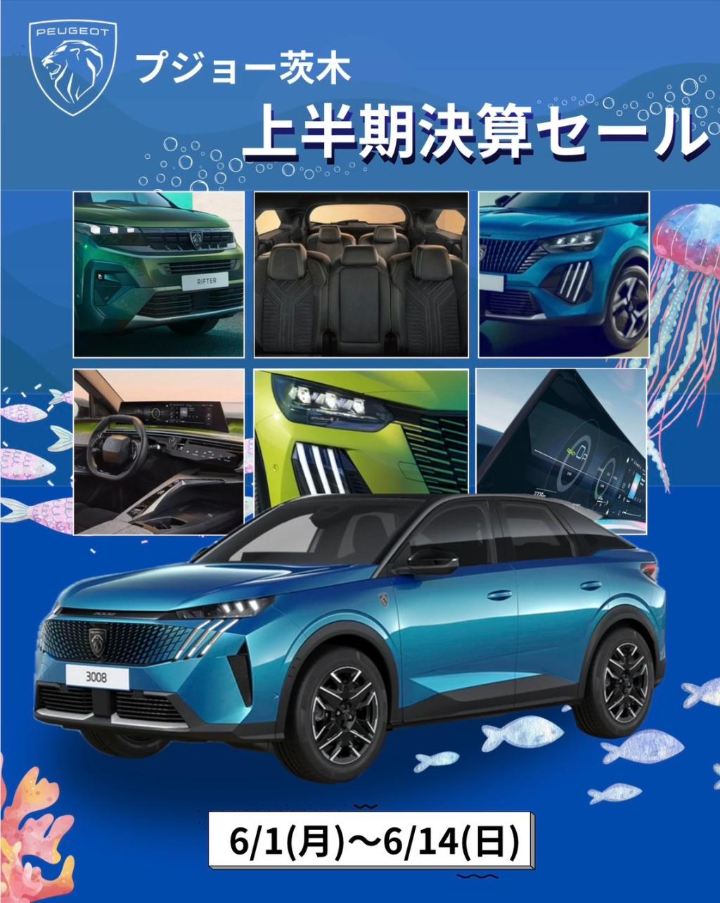 ＼📢 半期に一度のビッグチャンス！／