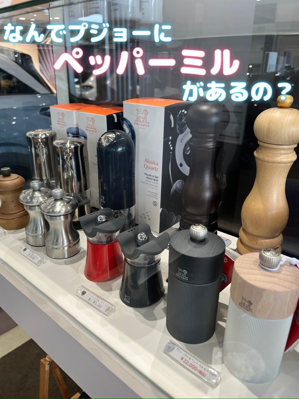 🚗実はクルマより先輩！？プジョーのペッパーミルをご紹介🦁✨