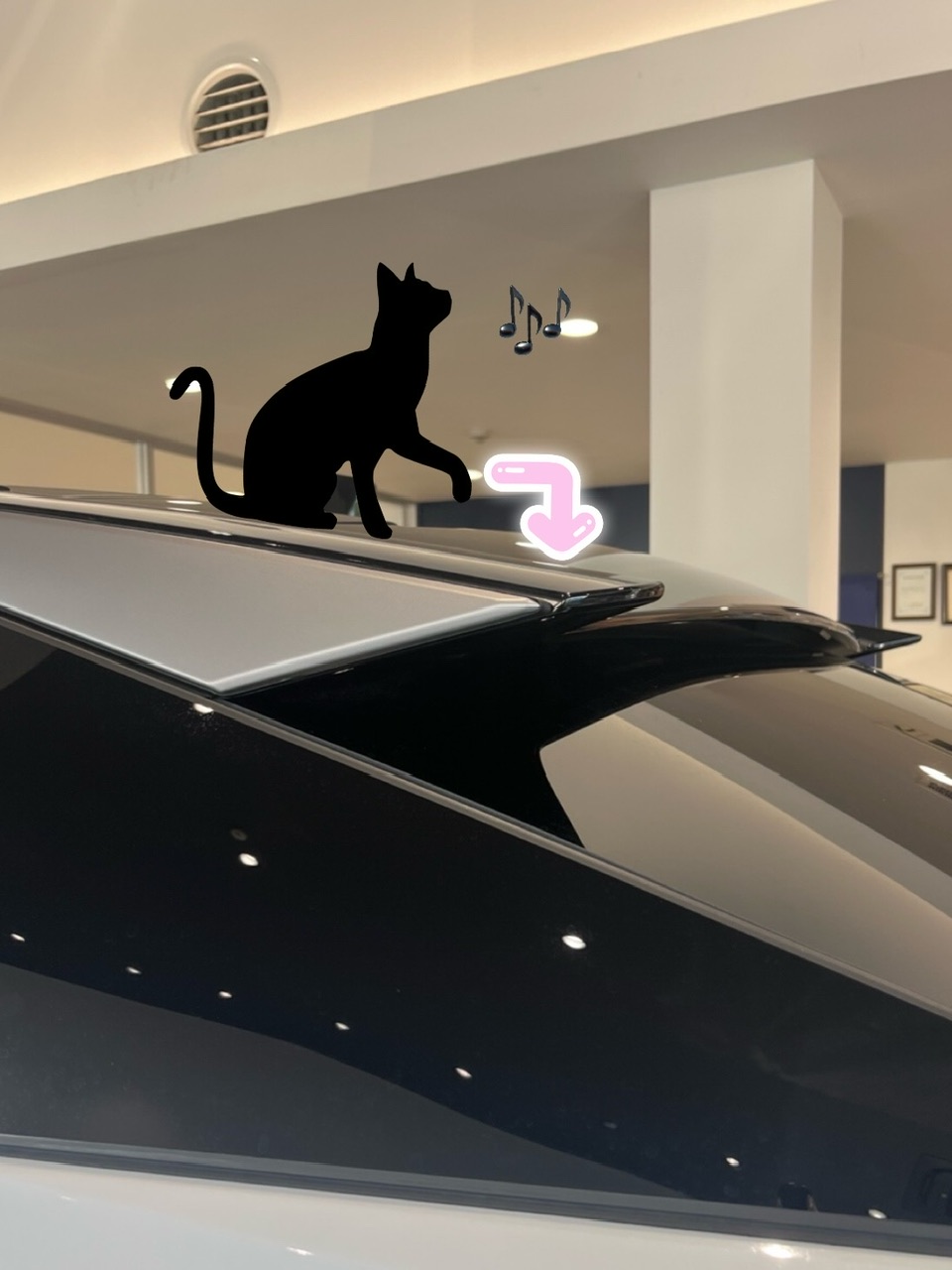 🐱プジョーの「猫耳」、知っていましたか？