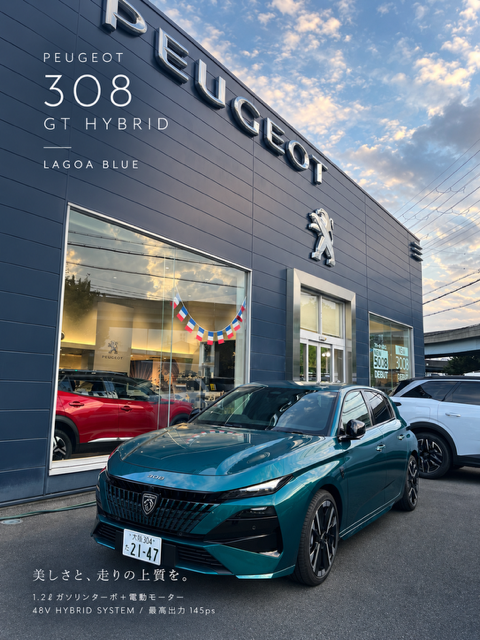 🚗💙 PEUGEOT 308 HYBRID