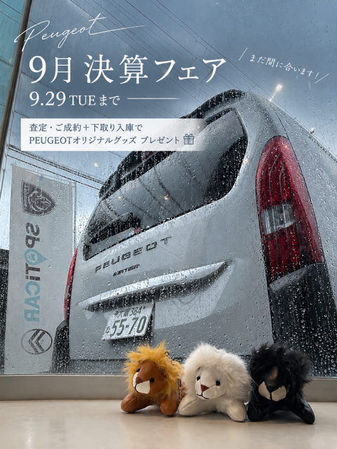まだ間に合います🚗✨